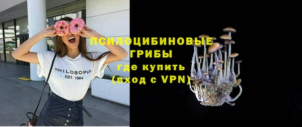 apvp Армянск