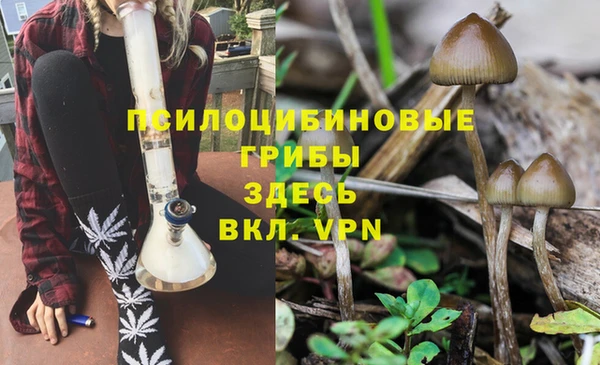 apvp Армянск
