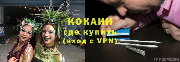 apvp Армянск