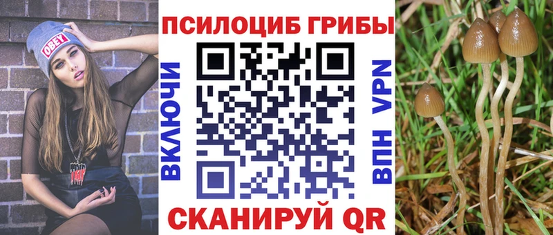 МЕГА ONION  Сосновка  Галлюциногенные грибы мухоморы 